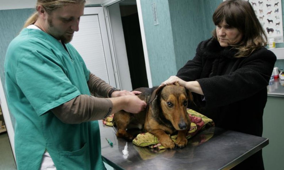 veterinar cijepljenje pas psi