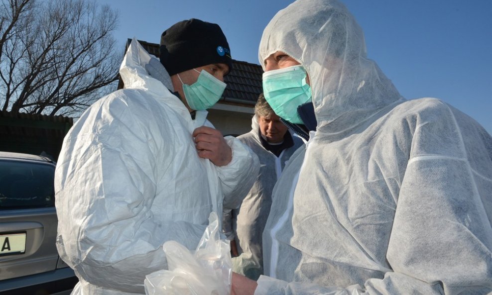 Ptičija gripa maske, veterinari