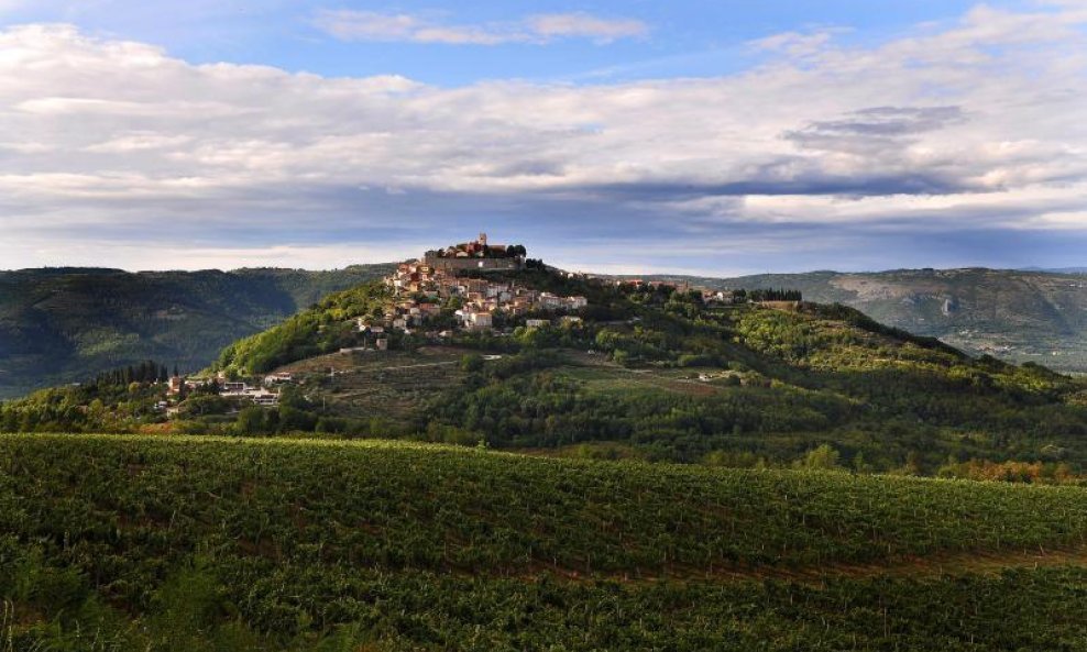 Istra Motovun