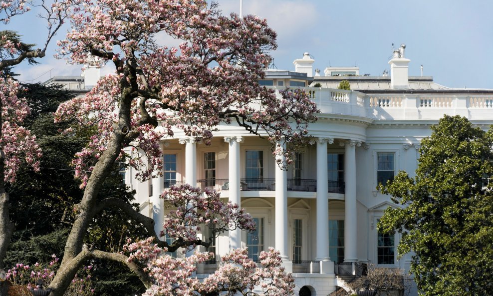 Predsjednik Jackson posadio je magnoliju ispred Bijele kuće 1830. godine