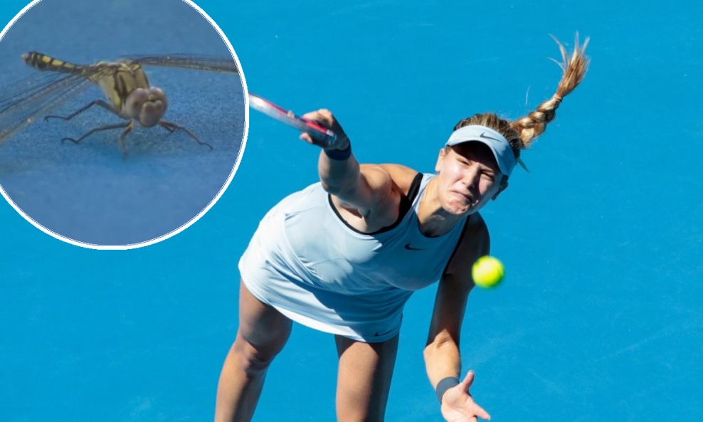 Daria Gavrilova vs insekt