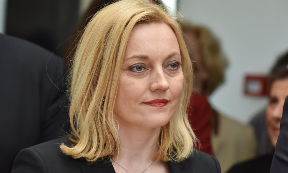 Marijana Petir, zastupnica u Europskom parlamentu