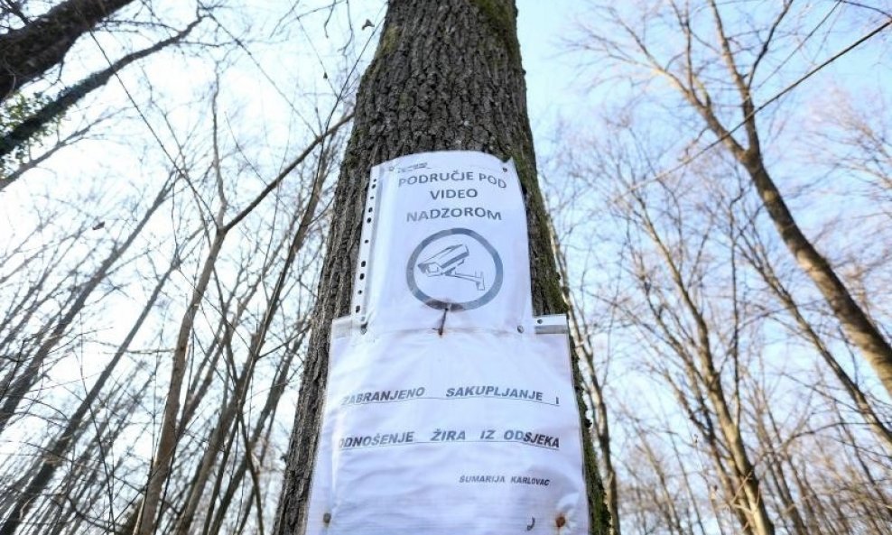 hrvatske šume video nadzor