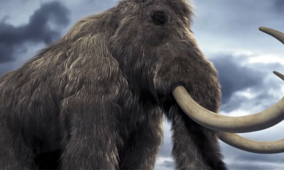 mamut