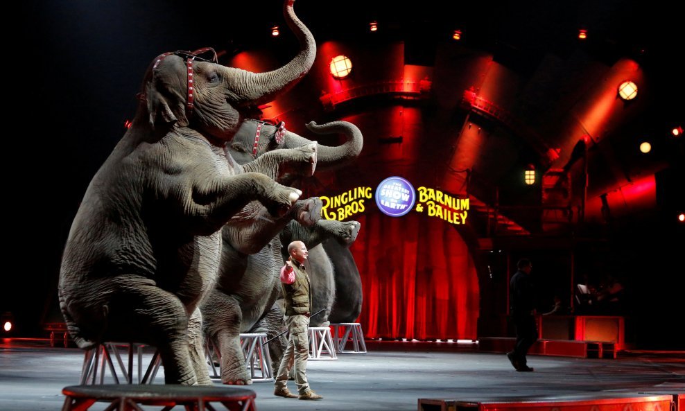 Cirkus Ringling Bros