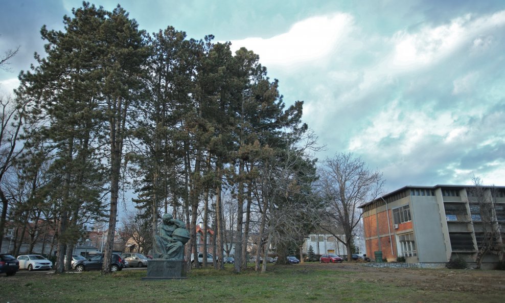 Institut Ruđer Bošković