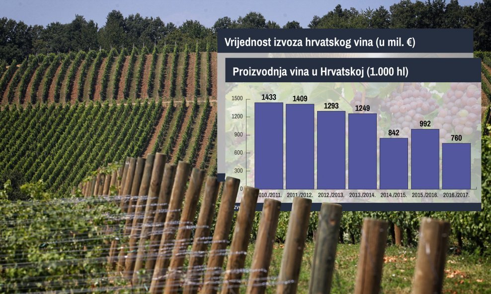 Vinari smatraju da bi trebali proizvoditi kvalitetna i vrhunska vina u malim količinama