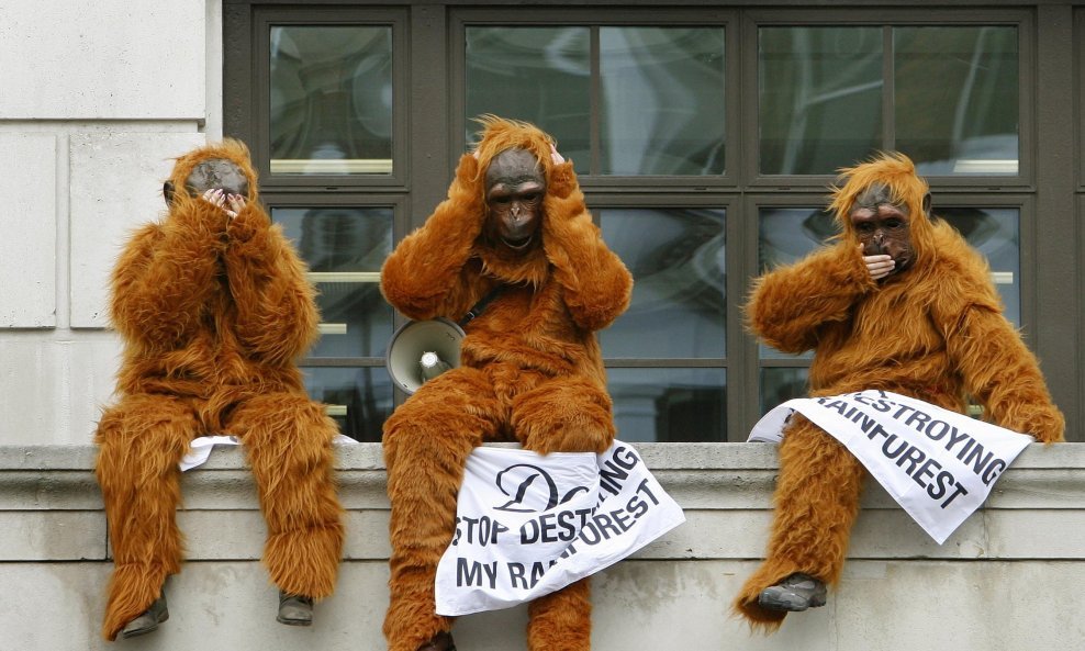 Prosvjed aktivista Greenpeacea odjevenih poput oranguna, kojim su željeli ukazati na ugroženost ove životinjske vrste uslijed sječe prašume u Indoneziji