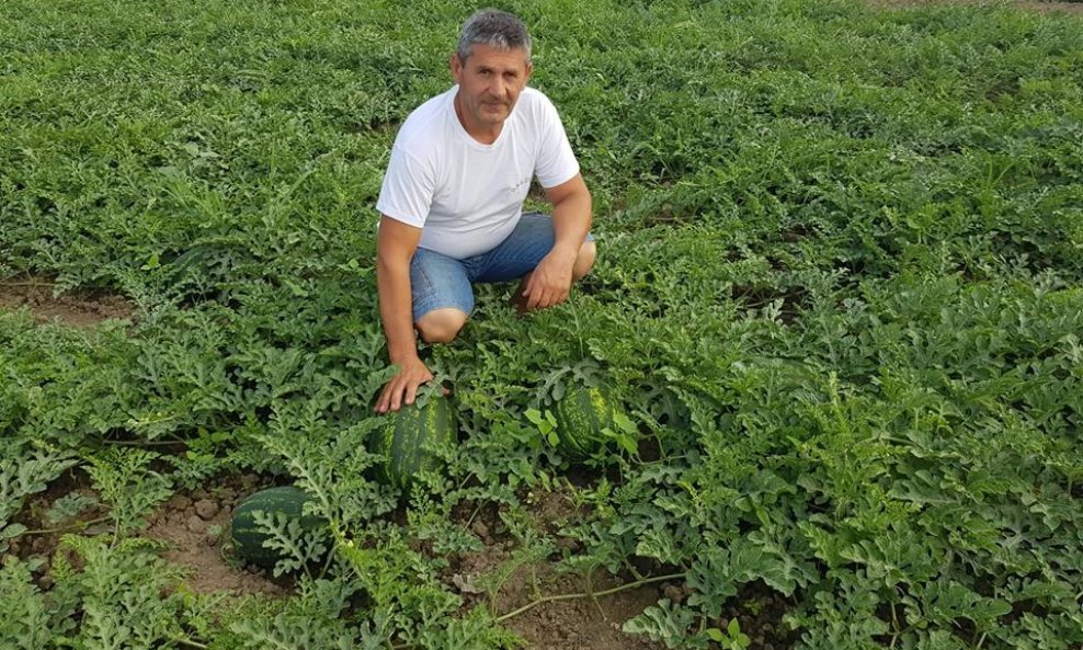 Stjepan Ćurdo iz Soljana proizvodnjom lubenica bavi se više od 15 godina