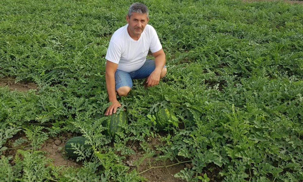 Stjepan Ćurdo iz Soljana proizvodnjom lubenica bavi se više od 15 godina