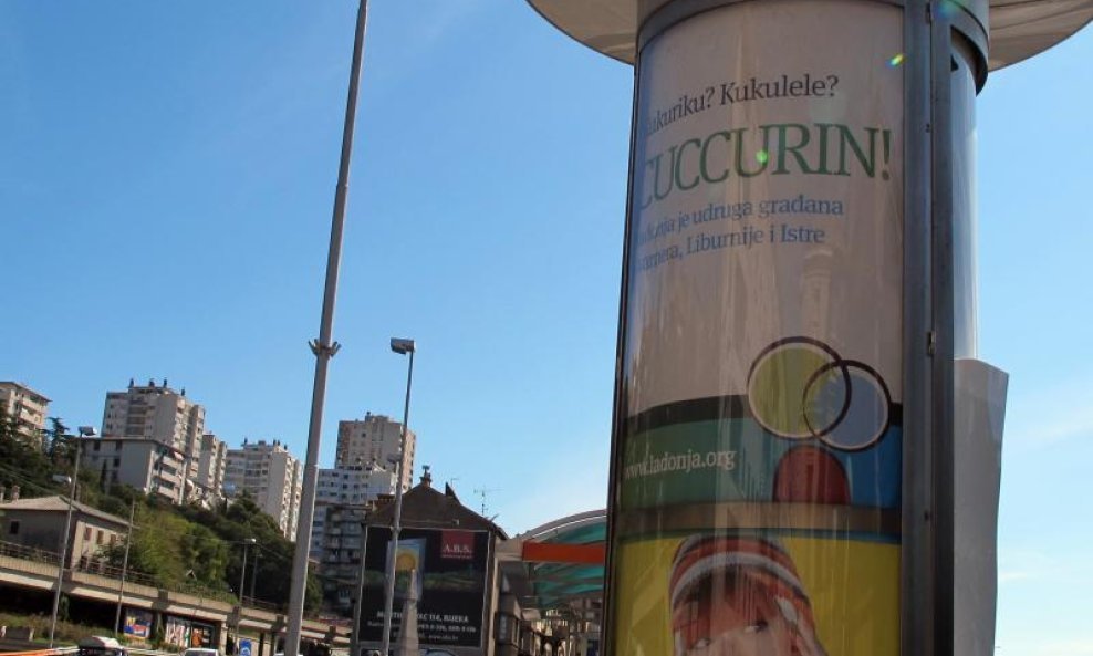 plakat cuccurin