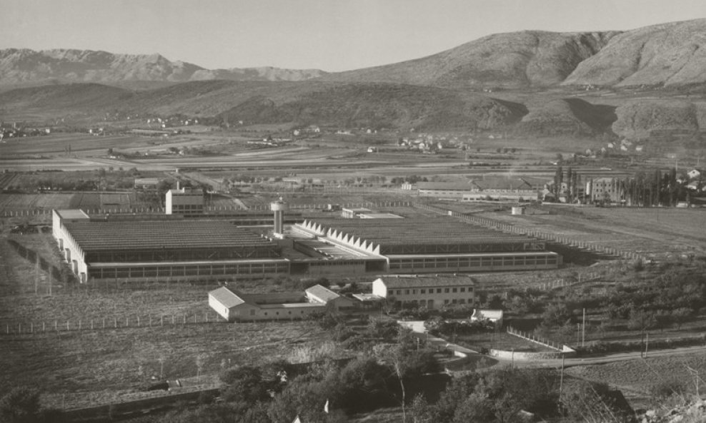 Tvornica Dalmatinka Sinj,1947-76