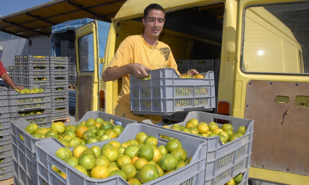 mandarine neretva