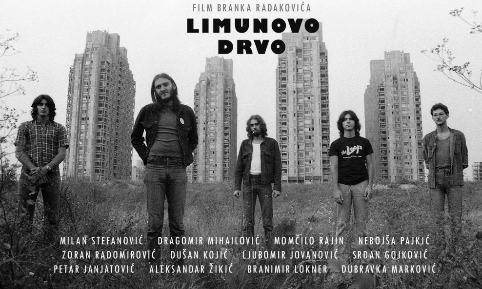 Limunovo drvo