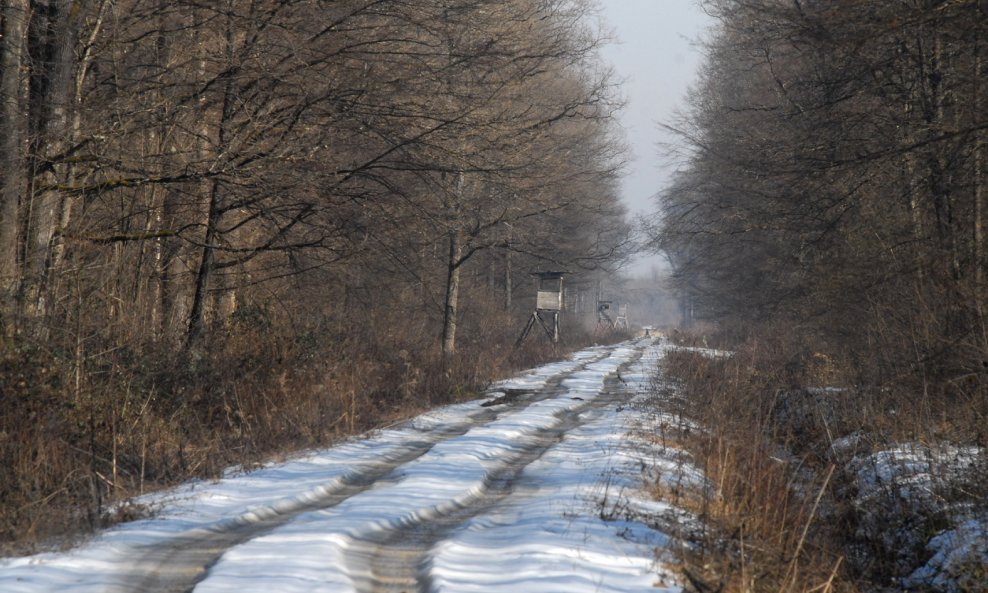 Turopolje 04