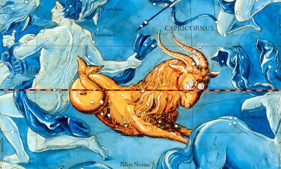 Capricornus. Coloured historical artwork of the constellation of Capricornus. The constellation is depicted as a sea-goat. Capricornus is the tenth sign of the Zodiac. The Sun is in Capricornus between 22 December and 19 January. It is an inconspicuous co