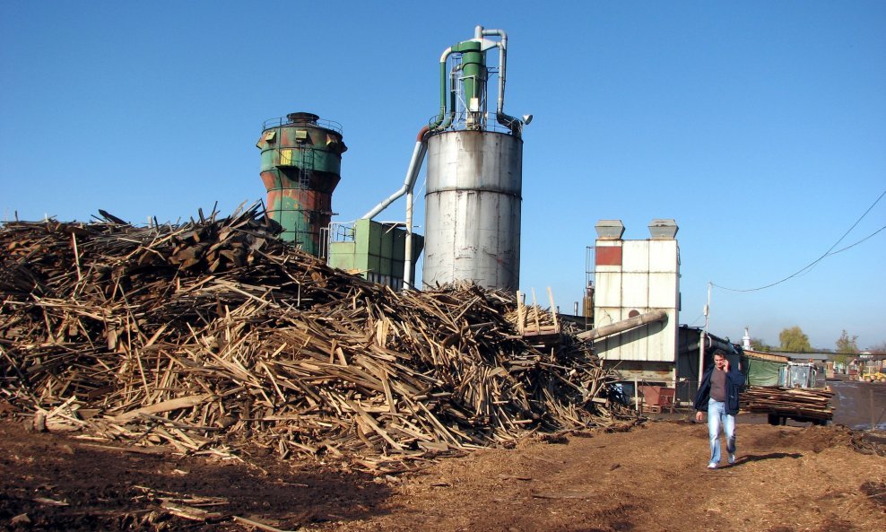Biomasa - ilustracija