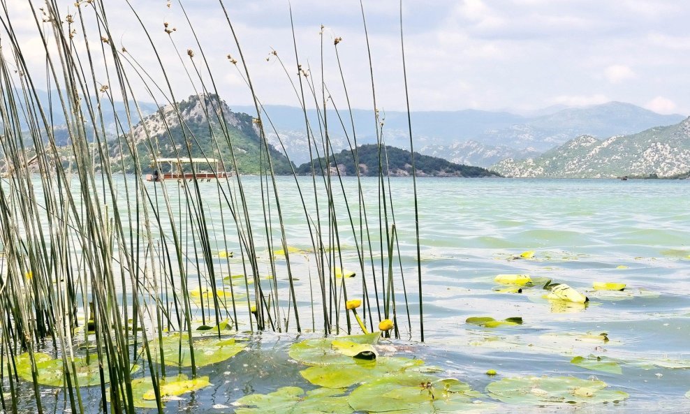 Skadarsko jezero