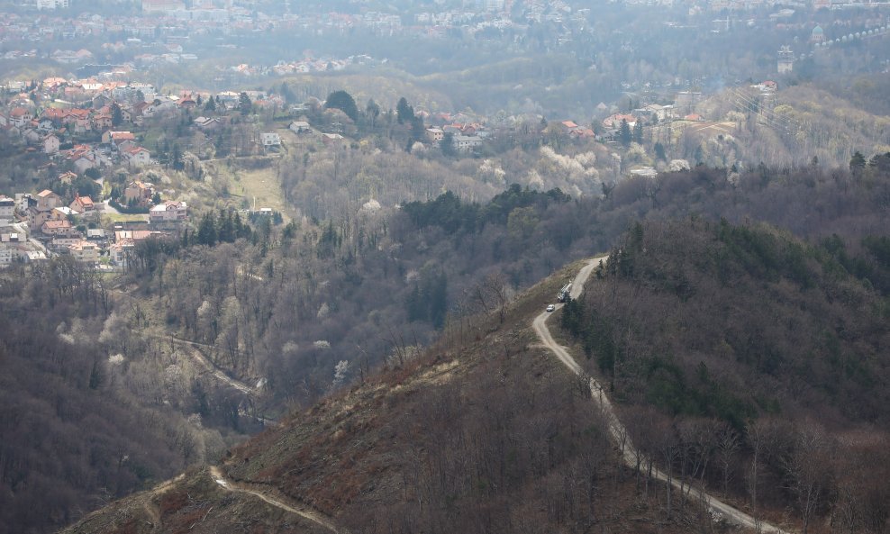 Šuma na Medvednici