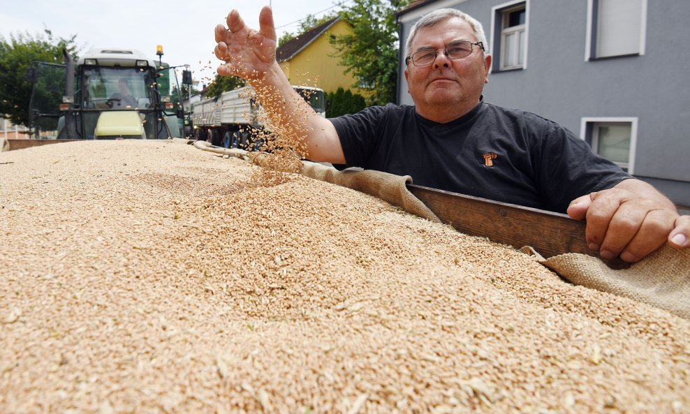 Čakovečki mlinovi - otkup pšenice