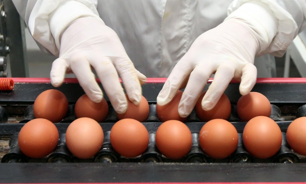 U Sloveniji otkriven fipronil pa inspektori krenuli u akciju među proizvođače jaja