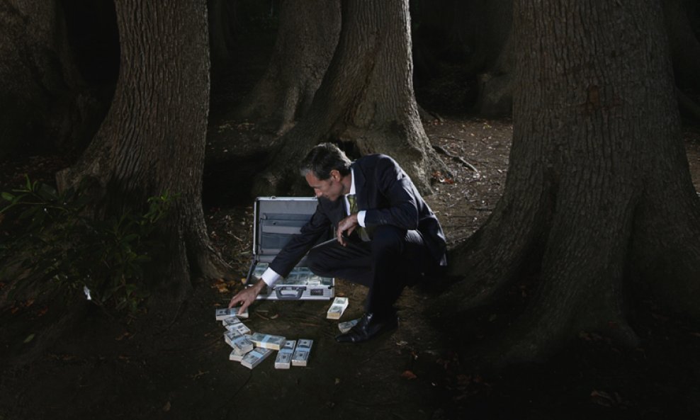 šuma muškarac broji kofer aktovka novac