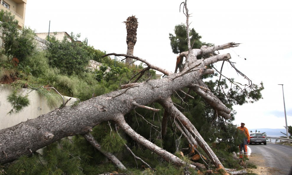Na Jadranskoj magistrali kod Omiša srušilo se stablo