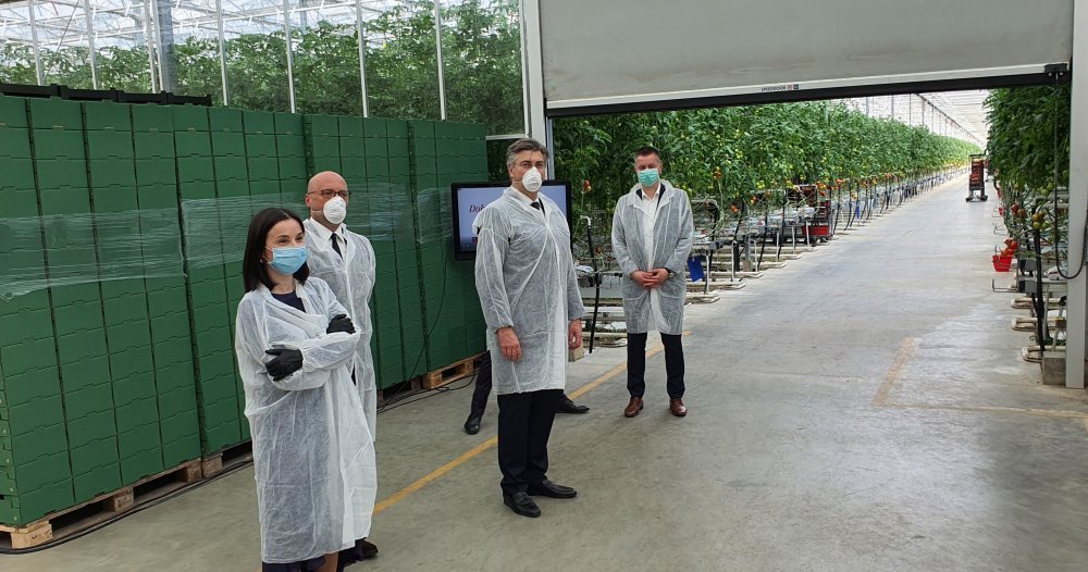 Andrej Plenković u posjeti stakleniku za proizvodnju rajčica Belje
