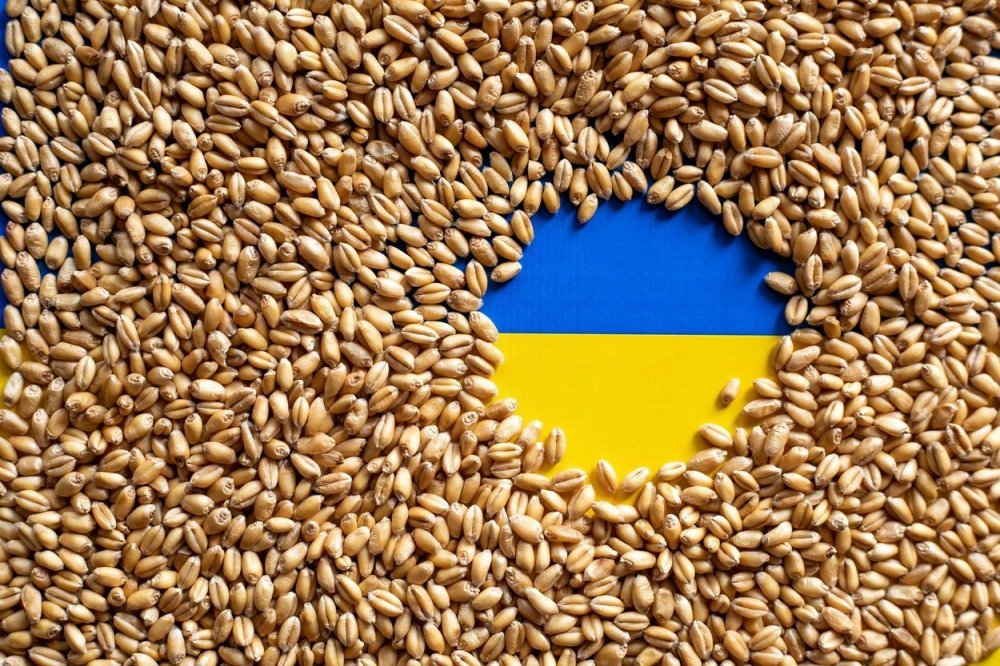 Ukrajina poručila EU-u i Poljskoj da su ograničenja na njezino žito  'neprihvatljiva' - tportal