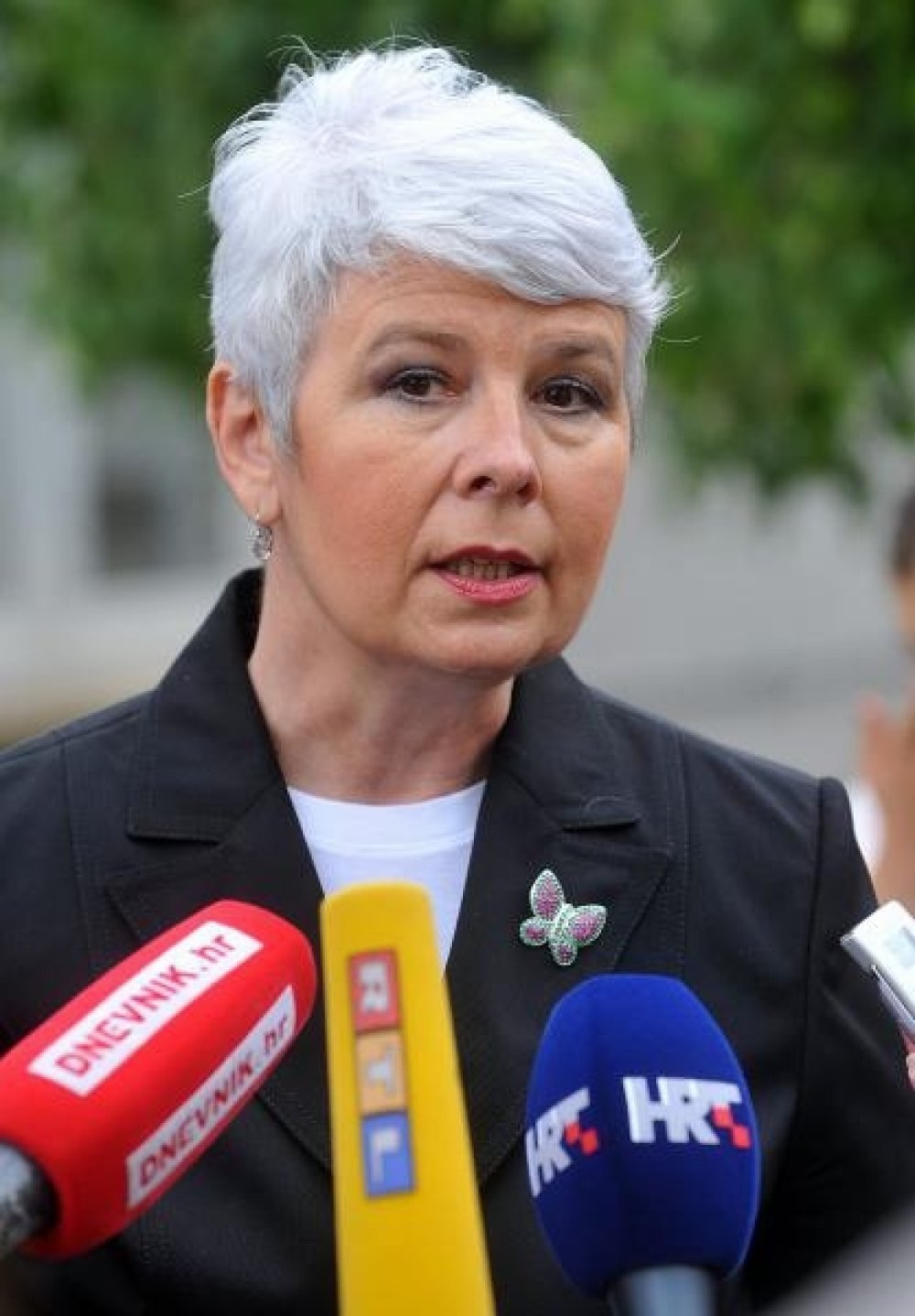 Broš premijerke Kosor - leptir
