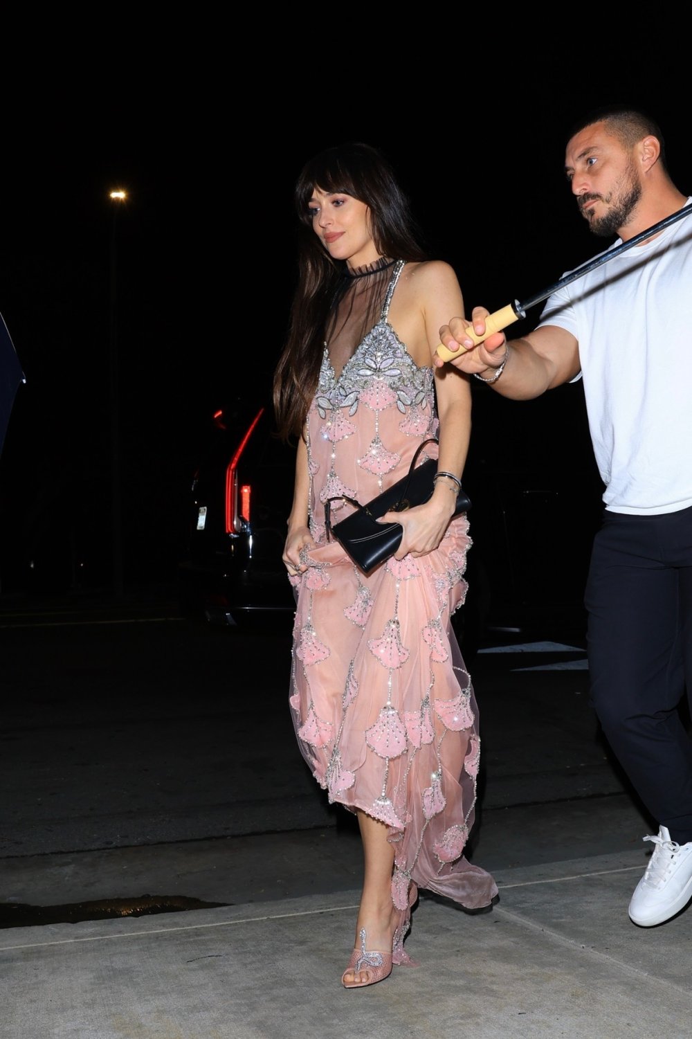 Dakota Johnson