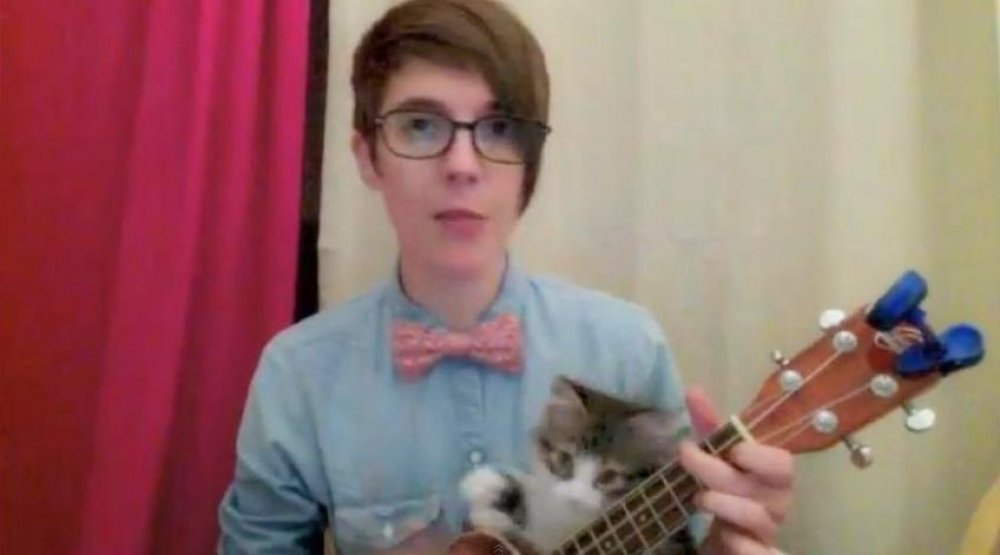 Включи видео кот песни. Котенок с укулеле. Котёнок укулелн. Игра на укулеле гиф. Человек и кошка на укулеле.