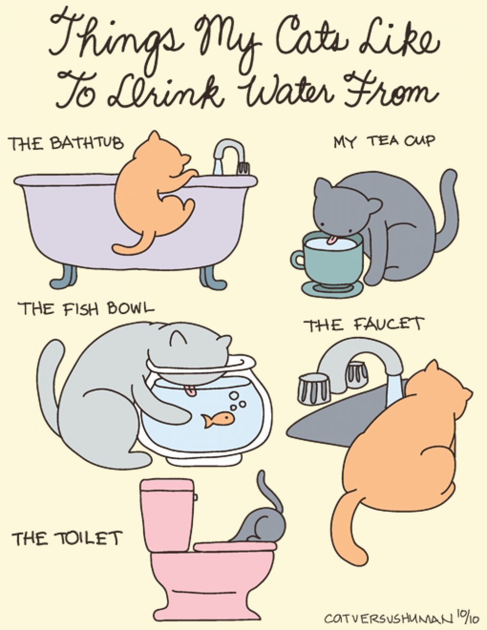 Cat thing. Комикс про кота. Комикс про кошку и воду. Милые котики математика. Кот хочет пить.
