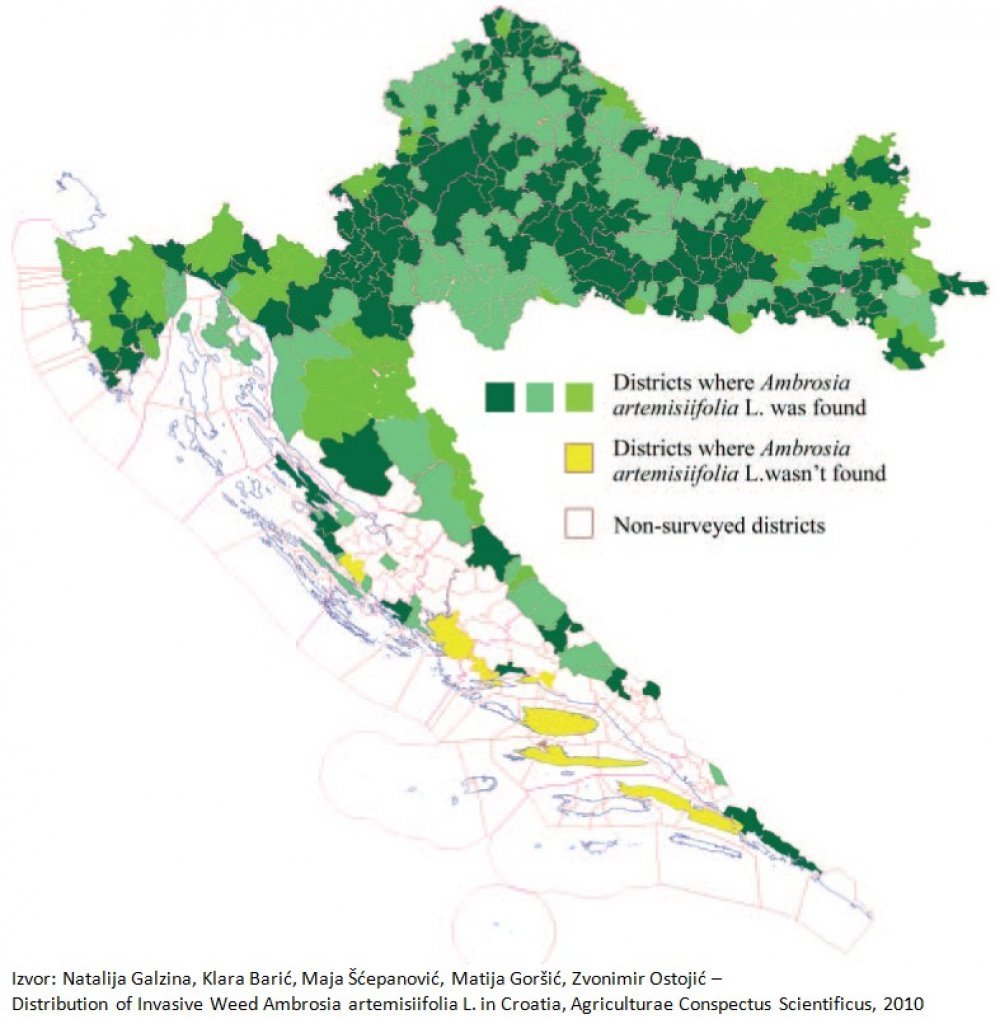 karta kontinentalne hrvatske Donosimo kartu gdje vreba opasnost od ambrozije   tportal karta kontinentalne hrvatske