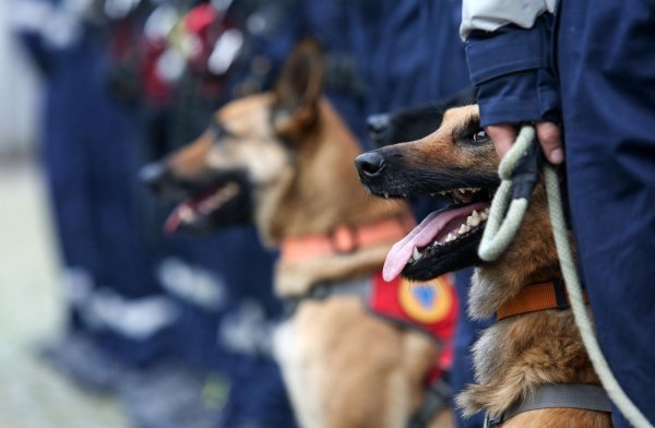 Postrojavanje državne intervencijske postrojbe civilne zaštite