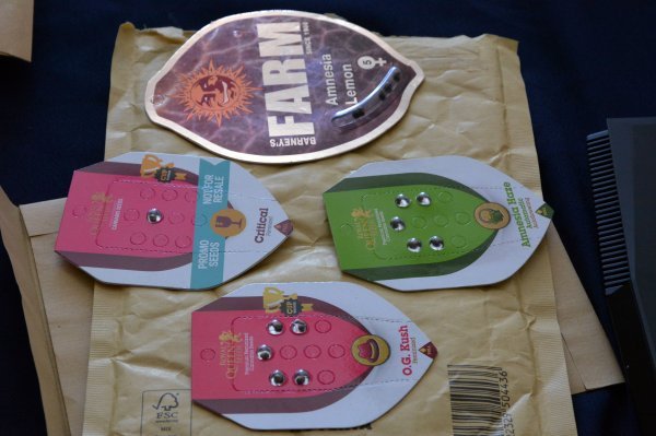 Zapljena droge u Slavonskom Brodu