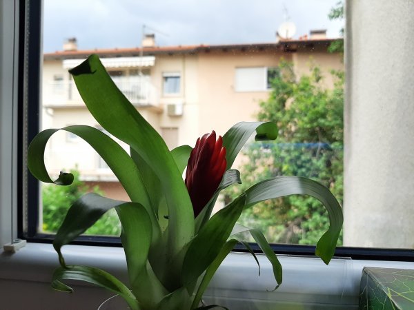 Samsung Galaxy A50 primjeri fotografija