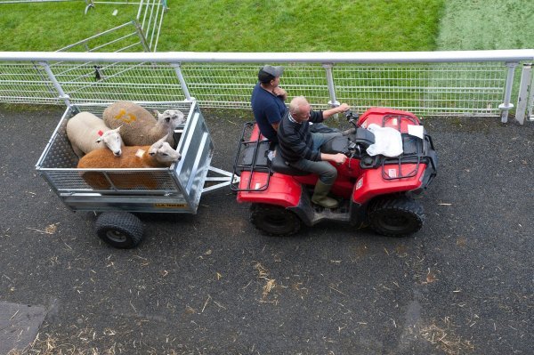 Lopovi sve više kradu farmerima sve vrste terenskih vozila, naročito quad bikeova