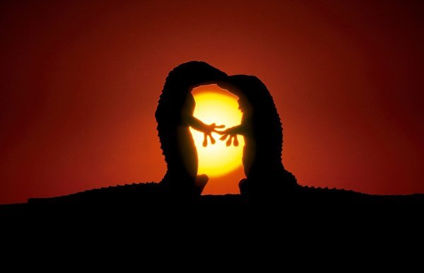 Međunarodni dan poljubaca