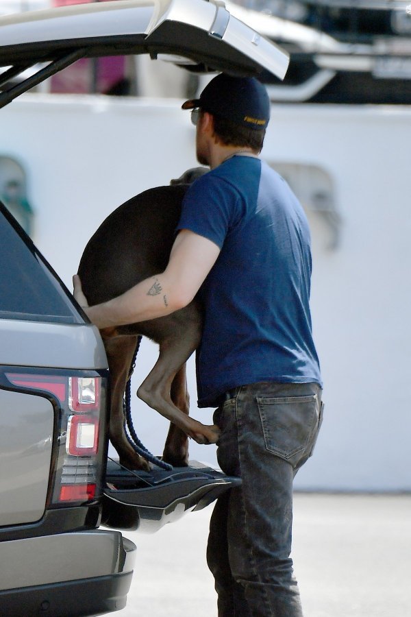 Ryan Gosling s novim psom