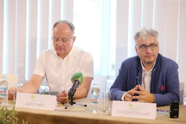 Ante Dabo, Dražen Domjanić