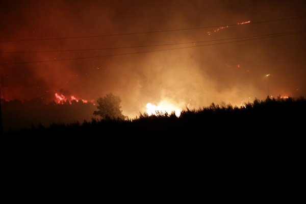 Požar u Dubravi kod Šibenika