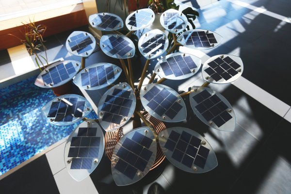 Model solarnog drveta