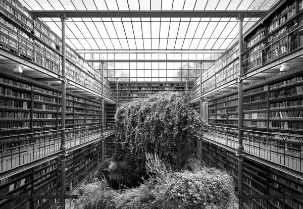 Muzejska biblioteka, serija 'Hramovi kulture', 2014., arhivski pigment print, edicija od 5