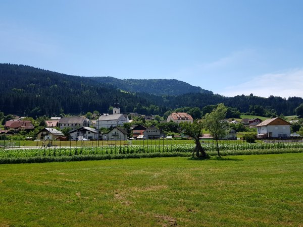 Mislinjska dolina 01