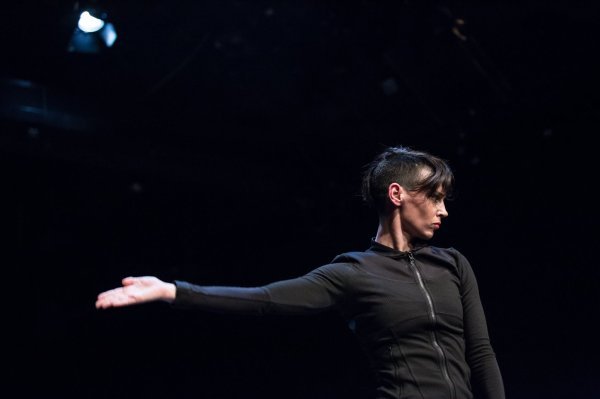 Anatomija mačke ZKM Zagreb