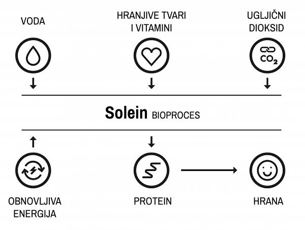 Bioproces za dobivanje proteina iz zraka, vode i električne energije