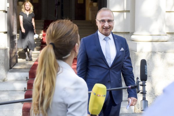 Goran Grlić Radman