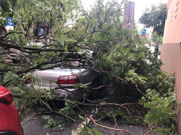 Stablo palo na auto u Vrbanićevoj ulici u Zagrebu