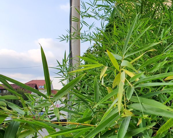 Samsung Galaxy Note10 primjeri fotografija